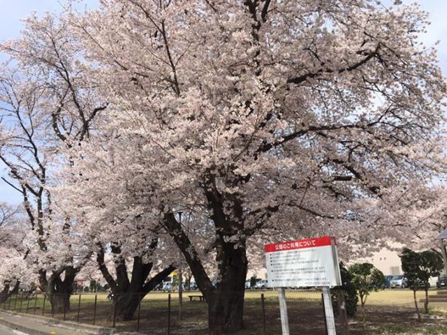 今日は天気良かったですね