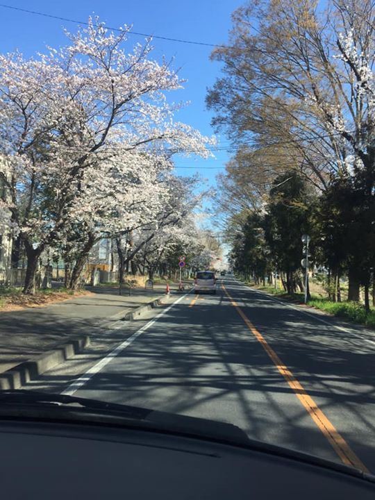 春らしくなってきましたね！